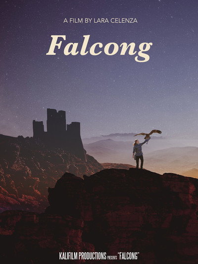 Póster de Falcong