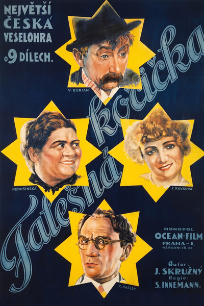 Póster de Falesná kocicka aneb Kdyz si zena umíní