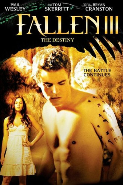 Póster de Fallen: The Destiny
