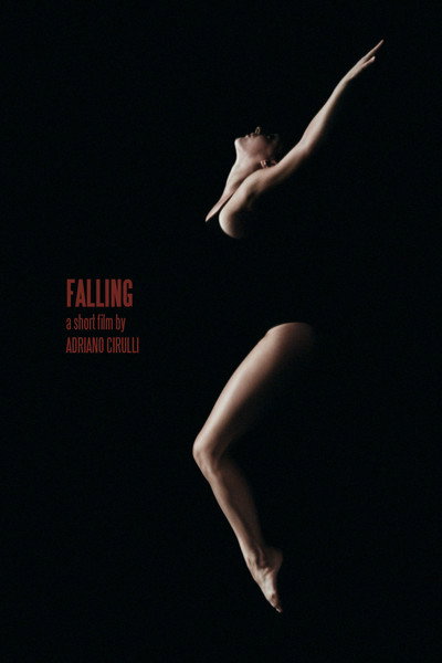 Póster de Falling