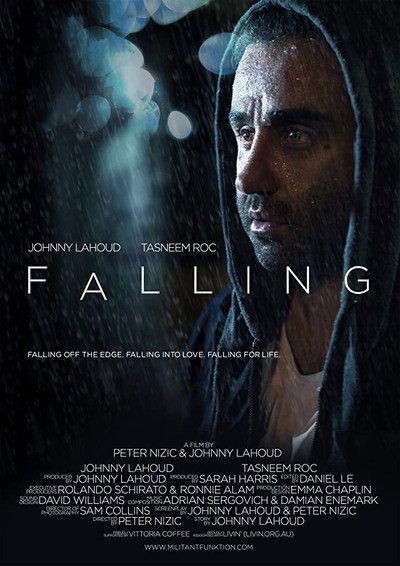 Póster de Falling