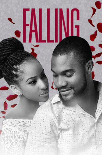 Póster de Falling