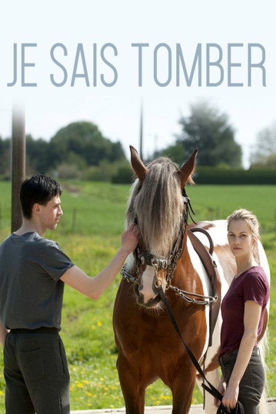 Póster de Falling for Love