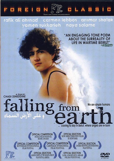 Póster de Falling from Earth