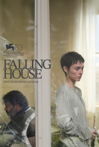 Póster de Falling House