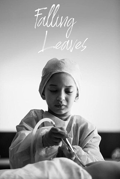 Póster de Falling Leaves