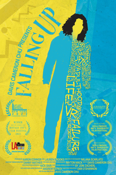 Póster de Falling Up