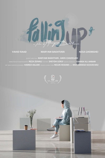 Póster de Falling Up