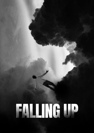 Póster de Falling Up