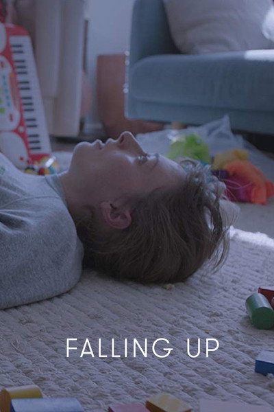 Póster de Falling Up