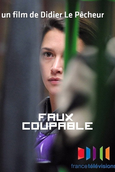 Póster de Fals culpable