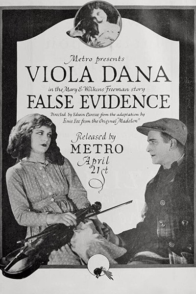 Póster de False Evidence