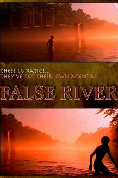 Póster de False River