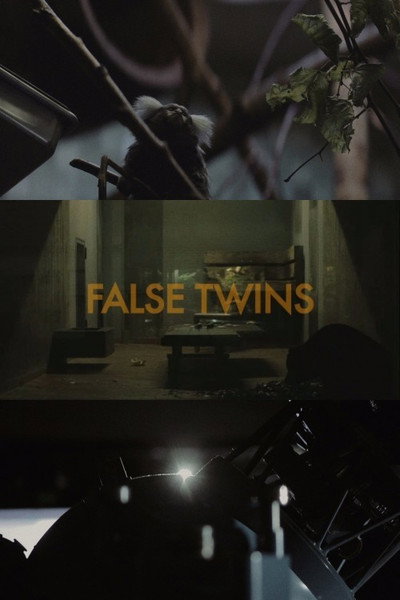 Póster de False Twins