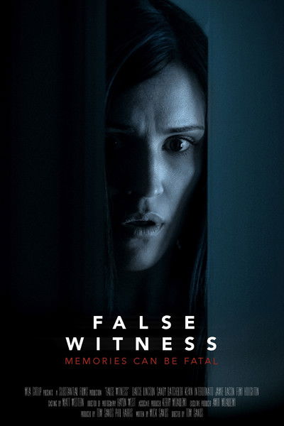 Póster de False Witness