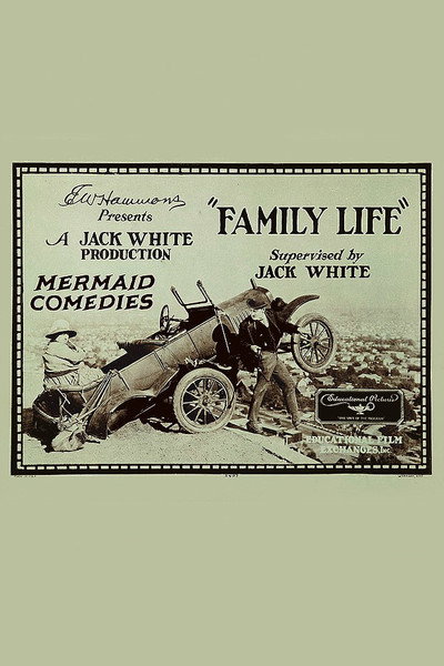 Póster de Family Life