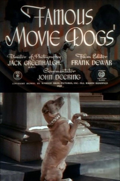 Póster de Famous Movie Dogs