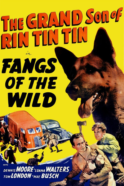 Póster de Fangs of the Wild
