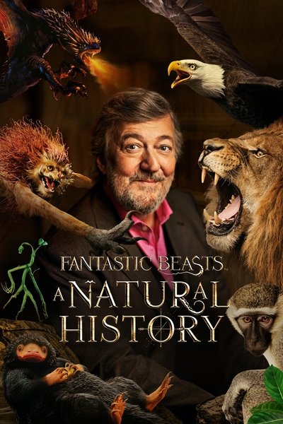 Póster de Fantastic Beasts: A Natural History