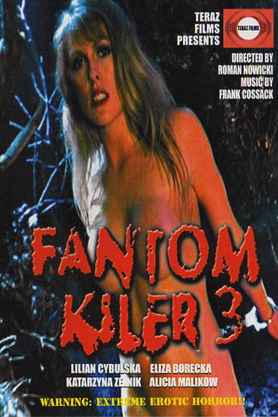 Póster de Fantom kiler 3