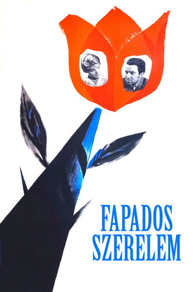 Póster de Fapados szerelem