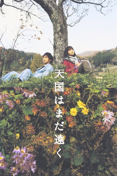 Póster de Faraway Heaven