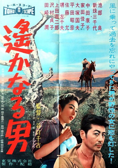 Póster de Faraway Man