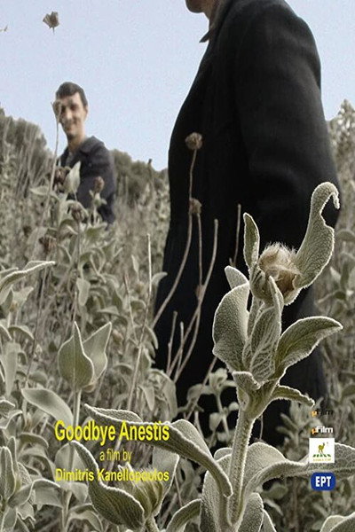 Póster de Farewell Anestis