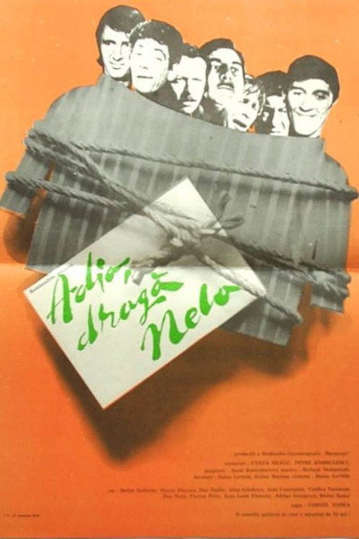 Póster de Farewell, Dear Nela!