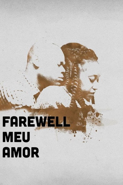 Póster de Farewell Meu Amor