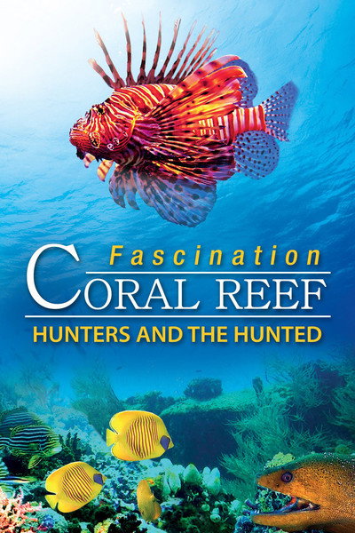 Póster de Fascination Coral Reef 3D: Hunters & the Hunted