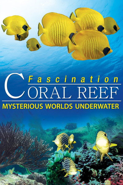 Póster de Fascination Coral Reef: Mysterious Worlds Underwater