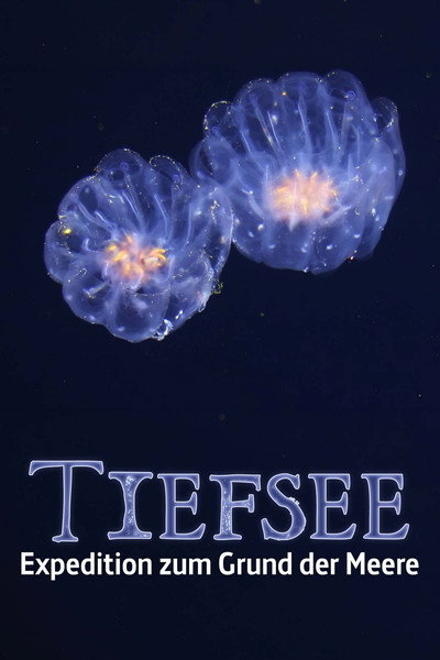 Póster de Faszination Tiefsee - Expedition zum Grund der Meere