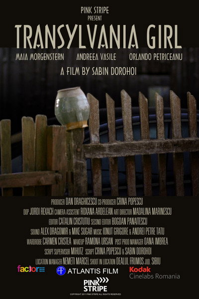 Póster de Fata din Transilvania