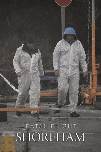 Póster de Fatal Flight: Shoreham