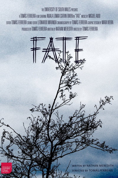 Póster de Fate