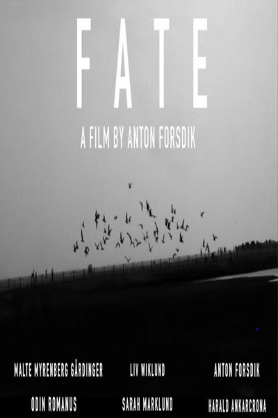 Póster de Fate