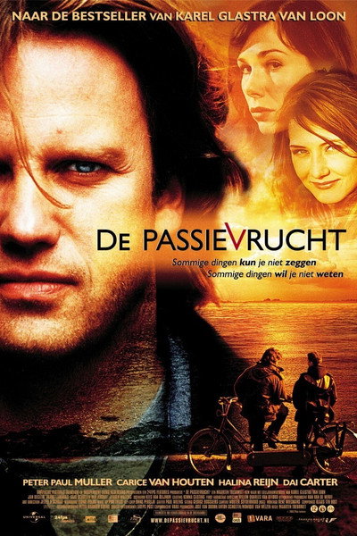 Póster de Father's Affair