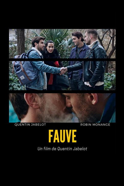 Póster de Fauve