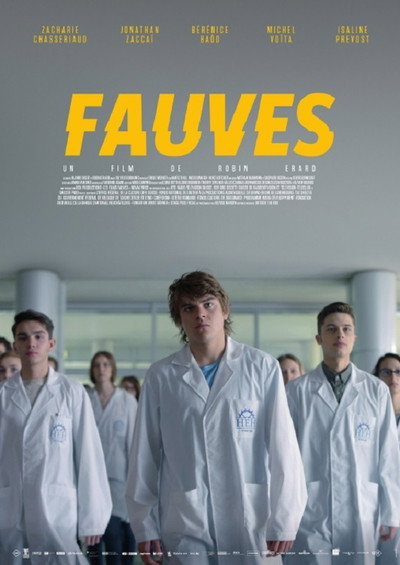 Póster de Fauves