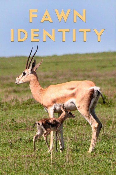 Póster de Fawn Identity
