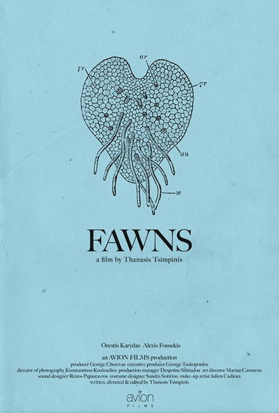 Póster de Fawns