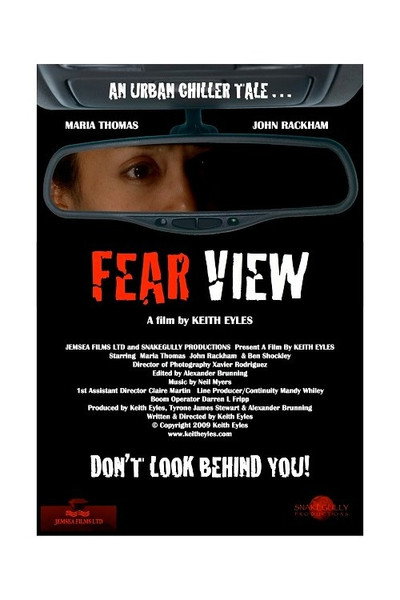 Póster de Fear View