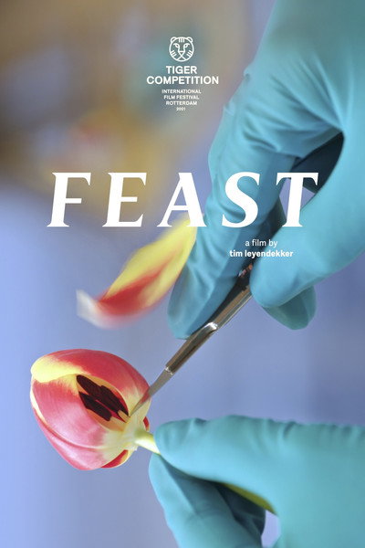 Póster de Feast