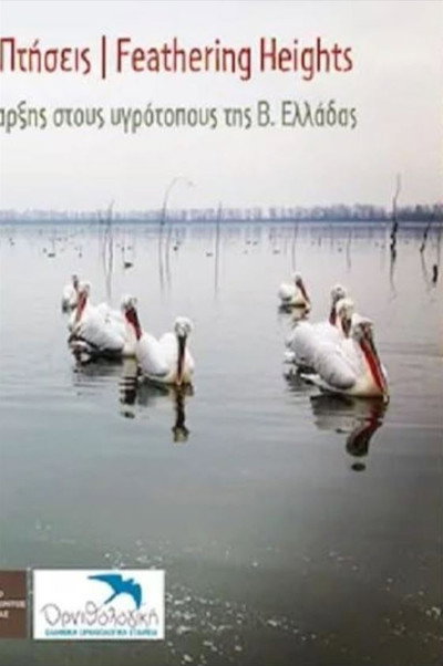 Póster de Feathering Heights