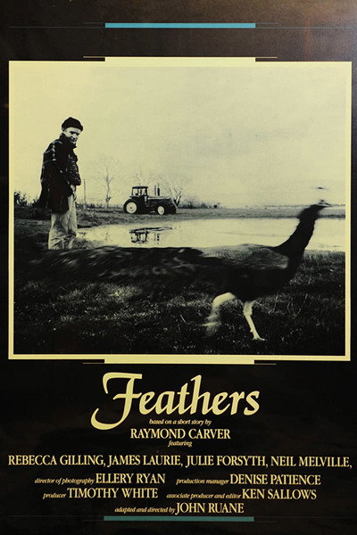 Póster de Feathers