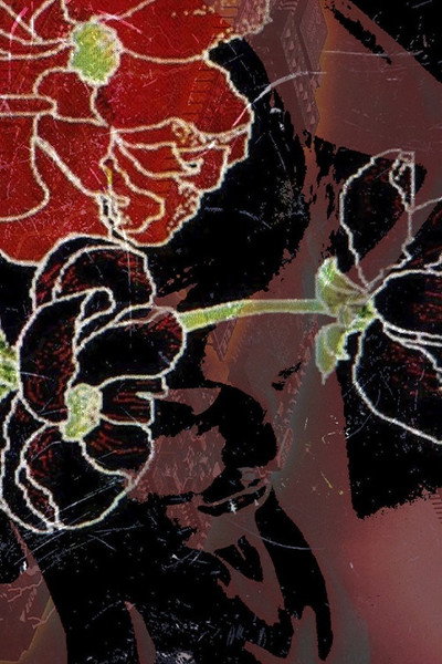 Póster de Febre 40°
