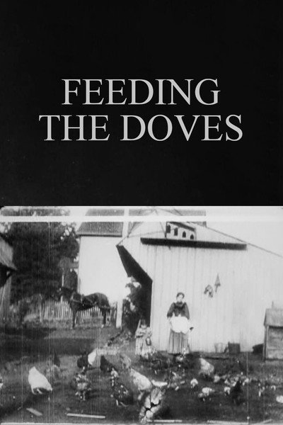 Póster de Feeding the Doves