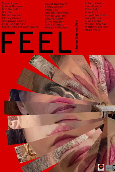 Póster de Feel