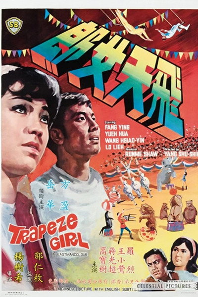 Póster de Fei tian nu lang